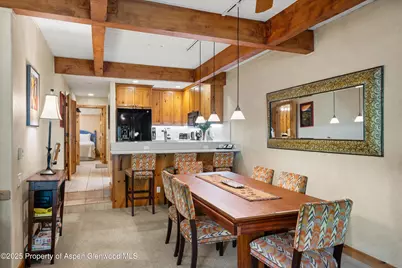 610 S West End Street #D105, Aspen, CO 81611 - Photo 10