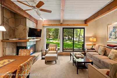 610 S West End Street #D105, Aspen, CO 81611 - Photo 8