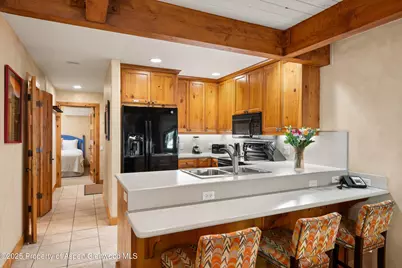 610 S West End Street #D105, Aspen, CO 81611 - Photo 12