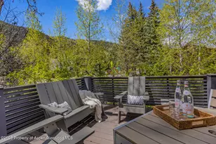 100 Park Ave, Aspen, CO 81611 - Photo 12