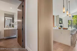 100 Park Ave, Aspen, CO 81611 - Photo 20