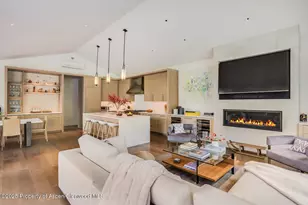 100 Park Ave, Aspen, CO 81611 - Photo 6