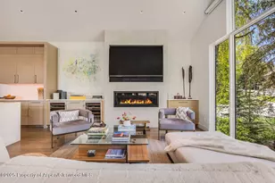 100 Park Ave, Aspen, CO 81611 - Photo 4