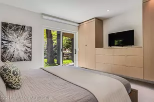 100 Park Ave, Aspen, CO 81611 - Photo 26