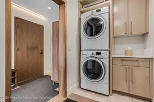 100 Park Ave, Aspen, CO 81611 - Photo 32