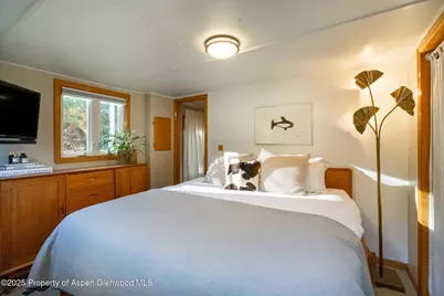 137 Ridge Trail, Aspen, CO 81611 - Photo 12