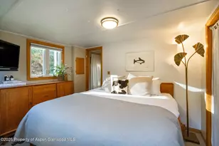 137 Ridge Trail, Aspen, CO 81611 - Photo 12