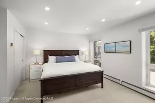 250 S Original St, Aspen, CO 81611 - Photo 12