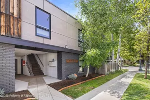 250 S Original St, Aspen, CO 81611 - Photo 24