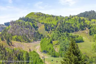 250 S Original St, Aspen, CO 81611 - Photo 26