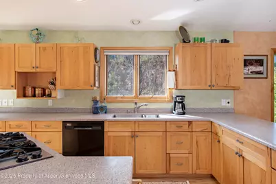 172 Sunny Acres Road, Glenwood Springs, CO 81601 - Photo 16