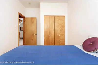 172 Sunny Acres Road, Glenwood Springs, CO 81601 - Photo 22