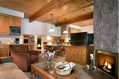 301 E Hyman Avenue #301 (Wks 22,38,39), Aspen, CO 81611 - Photo 14