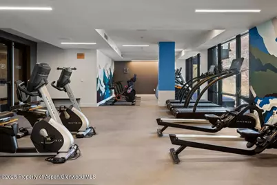 45 Wood Road #301, Snowmass Village, CO 81615 - Photo 12