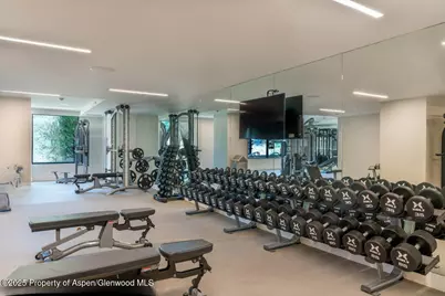 45 Wood Road #301, Snowmass Village, CO 81615 - Photo 10