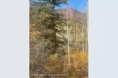 349 Crystal Circle, Carbondale, CO 81623 - Photo 18