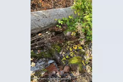 349 Crystal Circle, Carbondale, CO 81623 - Photo 14