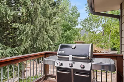 322 Park Avenue, Aspen, CO 81611 - Photo 12