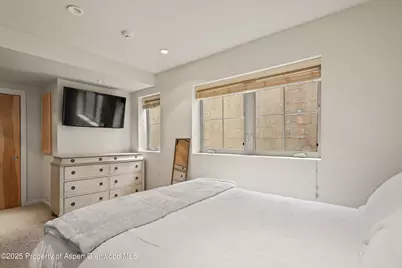 322 Park Avenue, Aspen, CO 81611 - Photo 24