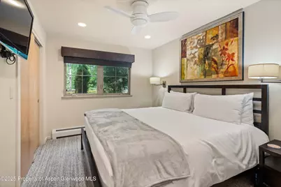 322 Park Avenue, Aspen, CO 81611 - Photo 16