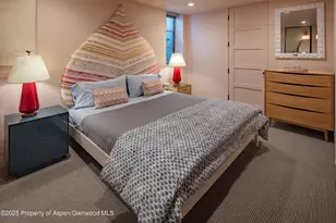 614 W North St, Aspen, CO 81611 - Photo 20