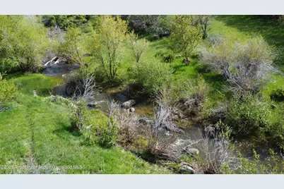 7900 County Road 41, Hamilton, CO 81638 - Photo 28