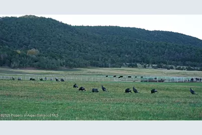 10676 Bostwick Road, Montrose, CO 81401 - Photo 32