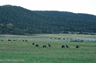 10676 Bostwick Rd, Montrose, CO 81401 - Photo 32