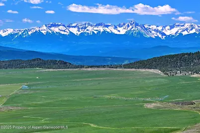 10676 Bostwick Road, Montrose, CO 81401 - Photo 10