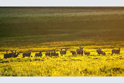 10676 Bostwick Road, Montrose, CO 81401 - Photo 42