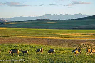 10676 Bostwick Rd, Montrose, CO 81401 - Photo 30