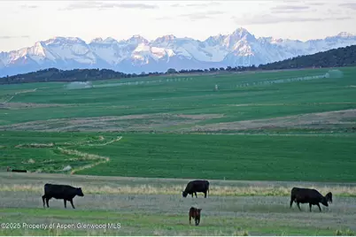10676 Bostwick Road, Montrose, CO 81401 - Photo 8