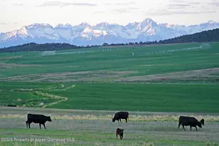 10676 Bostwick Rd, Montrose, CO 81401 - Photo 8