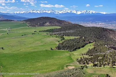 10676 Bostwick Road, Montrose, CO 81401 - Photo 16