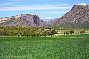 10676 Bostwick Rd, Montrose, CO 81401 - Photo 24