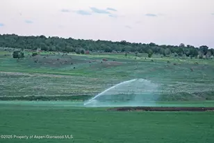 10676 Bostwick Rd, Montrose, CO 81401 - Photo 20