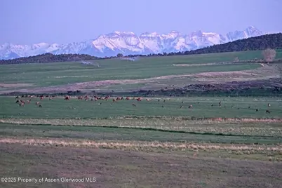10676 Bostwick Road, Montrose, CO 81401 - Photo 14