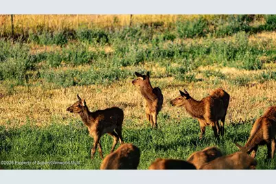 10676 Bostwick Road, Montrose, CO 81401 - Photo 36