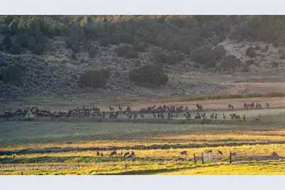 10676 Bostwick Road, Montrose, CO 81401 - Photo 40