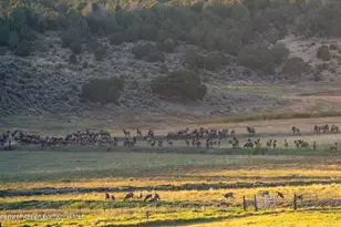 10676 Bostwick Rd, Montrose, CO 81401 - Photo 40