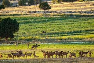 10676 Bostwick Rd, Montrose, CO 81401 - Photo 34