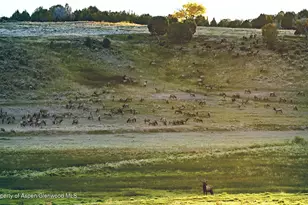 10676 Bostwick Rd, Montrose, CO 81401 - Photo 38