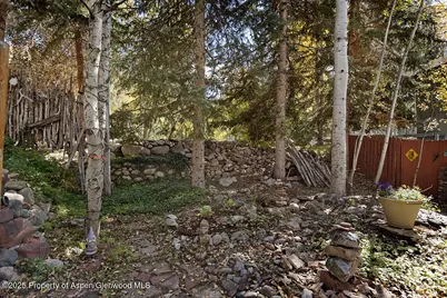 311 Midland Avenue, Aspen, CO 81611 - Photo 28