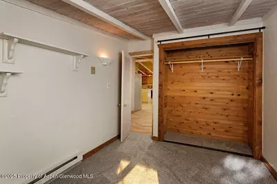 311 Midland Avenue, Aspen, CO 81611 - Photo 18