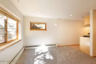 311 Midland Ave, Aspen, CO 81611 - Photo 12