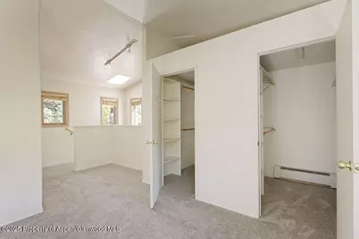 311 Midland Avenue, Aspen, CO 81611 - Photo 16