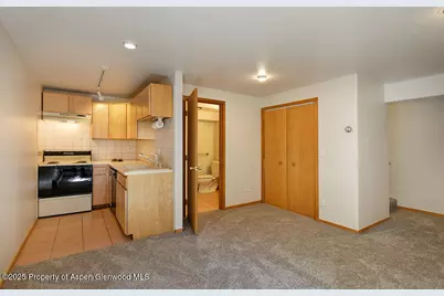 311 Midland Avenue, Aspen, CO 81611 - Photo 14