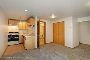 311 Midland Ave, Aspen, CO 81611 - Photo 14