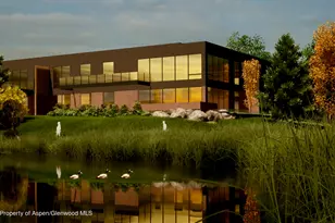 103 Willow Rd, Basalt, CO 81621 - Photo 8