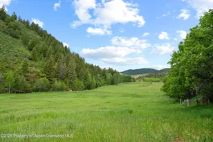 10715 Co Rd 245, New Castle, CO 81647 - Photo 14